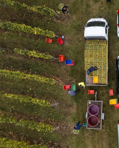 Zahrada ubytování Bed&Breakfast Vinarija Coner