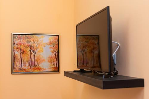 a tv on a shelf next to a painting at Dea Estia Alloggio Turistico in Tuscania