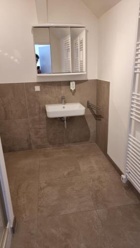 a bathroom with a sink and a mirror at Allinone in Klosterneuburg