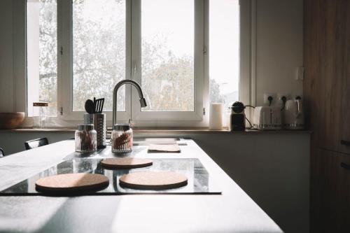 - une cuisine avec un comptoir, un évier et un comptoir dans l'établissement Le Perlina, à Annecy