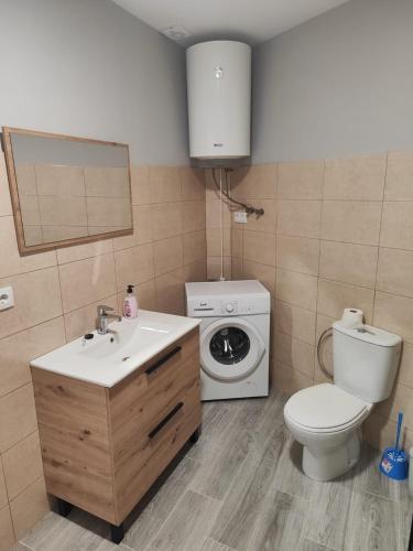 a bathroom with a toilet sink and a washing machine at LA GARRUCHa in Argamasilla de Alba