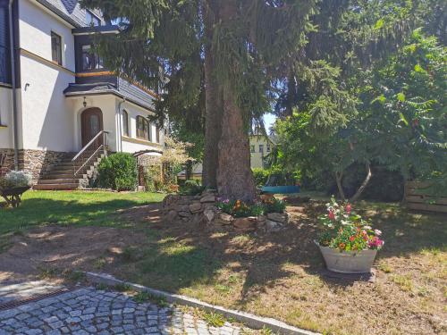 Fotografie z fotogalerie ubytování ansimali v destinaci Beierfeld