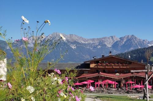 a building with pink umbrellas in front of a mountain at Alpengasthof Hochsöll in Söll