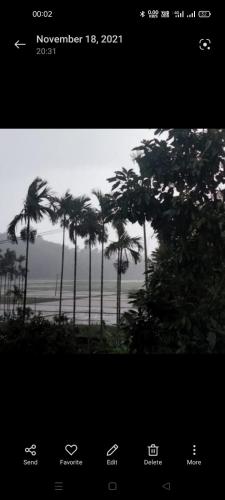 a picture of palm trees in front of the ocean at JK Home stay in Sultan Bathery