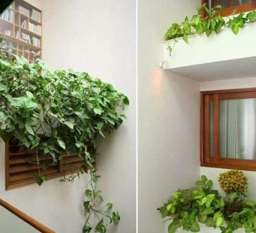 Un jardín fuera de Hotel Đại An An