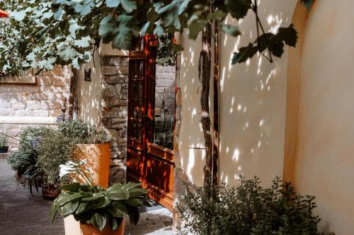 Κήπος έξω από το Weingut Zimmermann