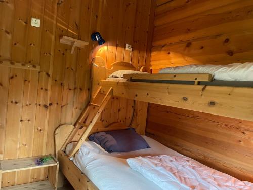 a room with two bunk beds in a cabin at Rondane Sollia Friluftsliv Øvre Nordli in Sollia