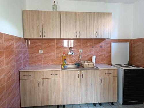 a kitchen with wooden cabinets and a sink at GOLD Apartman in Mirijevo