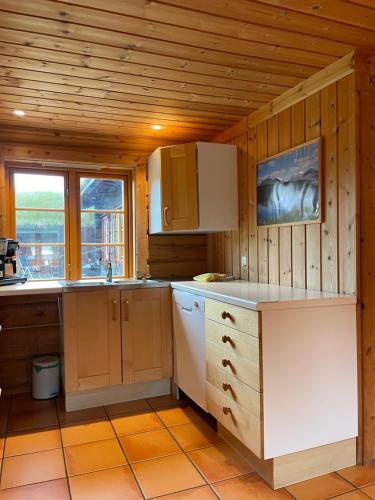a kitchen with wooden walls and cabinets and a counter at Rondane Sollia Friluftsliv Øvre Nordli in Sollia