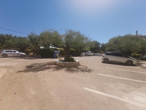 Gallery image of Lofos Strani in Zakynthos Town