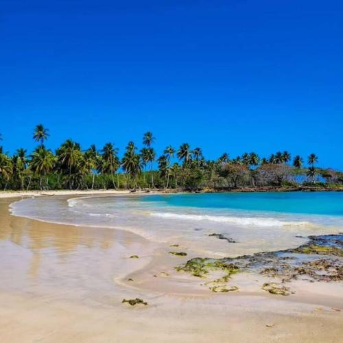an empty beach with palm trees and the ocean at Apto close to more than 19 tourist attractions in La Entrada