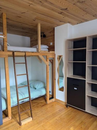 une chambre avec deux lits superposés et une échelle dans l'établissement Maison au cœur de la ville de Mende, à Mende
