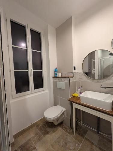 une salle de bain avec toilettes, lavabo et miroir dans l'établissement Très beau 3 pièces jusqu'à 6 voyageurs - El Paradisio, à Lourdes