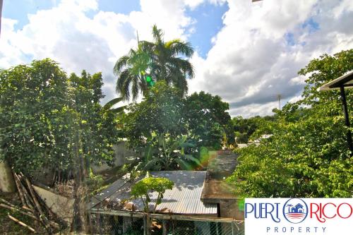 a palm tree on the roof of a house at New Best Deal 2 Bedroom Apartment in Bayamon, By RentalsPR in Bayamon
