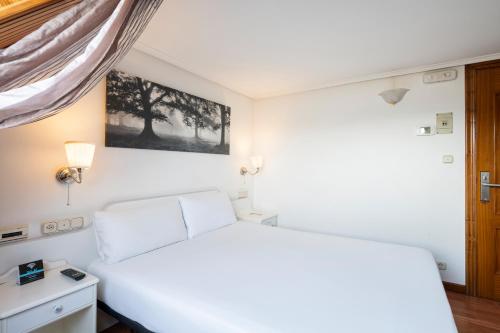 a bedroom with a white bed and a picture on the wall at Hotel Alda Santa Cristina in Perillo