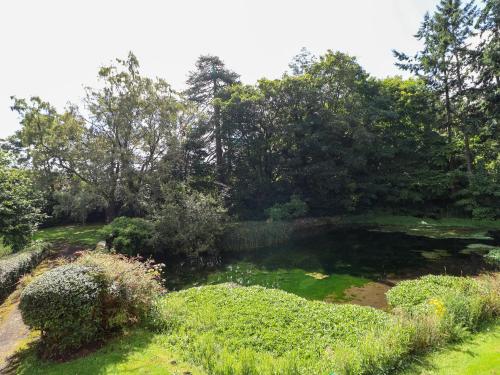 a pond in the middle of a garden at New Hall in Wrexham
