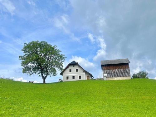 a house and a barn on a grassy hill at Ferienwohnung Hochtal in Göstling an der Ybbs