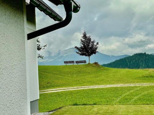 a bench in a field with a tree on a hill at Ferienwohnung Hochtal in Göstling an der Ybbs