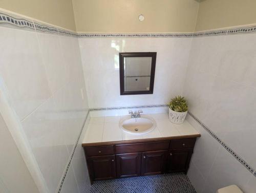 a bathroom with a sink and a mirror at Sleek 1-Bedroom Apt #1 - 5 Mins to SGU in True Blue