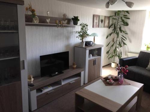 a living room with a flat screen tv on a wall at "Marion s gute Stube" unweit vom Kummerower See in Kummerow