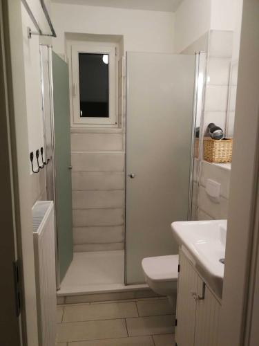 a bathroom with a shower and a toilet and a sink at Schnuckelige Ferienwohnung mitten in der Seenplatte in Blankensee