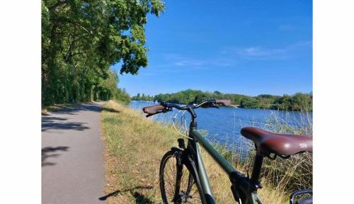 a bike parked on a path next to a lake at Retro Reverie, avec parking gratuit et terrasse in Ban-Saint-Martin