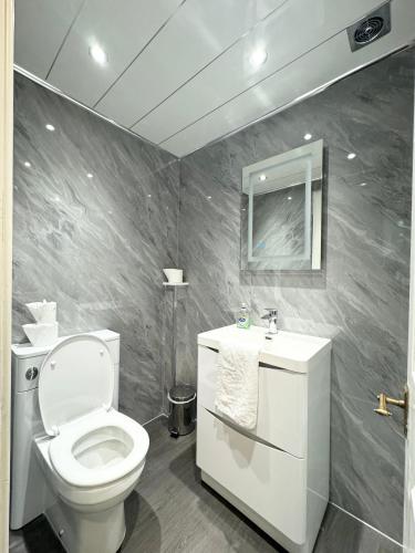 a bathroom with a toilet and a sink and a mirror at Murrayfield Park Guest House in Edinburgh