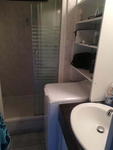 La salle de bains est pourvue d'un lavabo et d'une douche. dans l'établissement T2 cabine en rdj grande terrasse et garage 3 min de la plage, au Cap d'Agde
