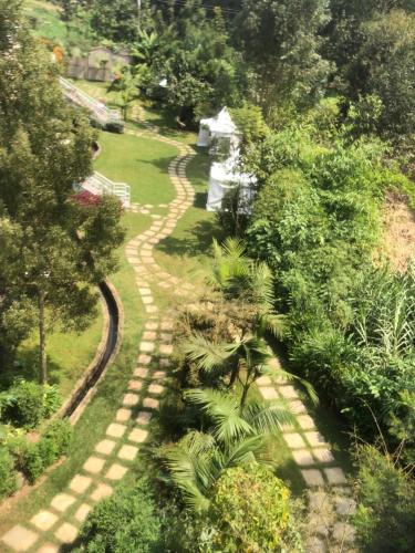 an overhead view of a path in a garden at Ole Sidai Riverine Gardens in Karatina