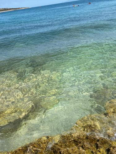 a large body of water with rocks in it at Apartment Rustic Jolly in Premantura