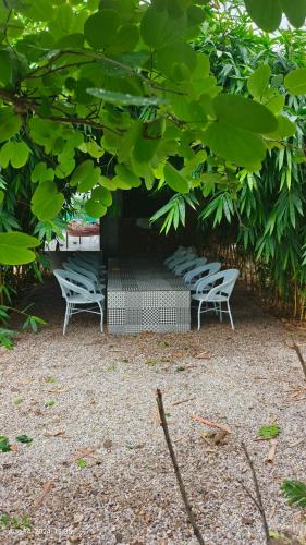 a group of chairs sitting under a tree at Nature life farm in Chonp