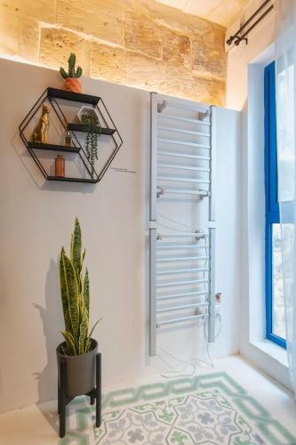a bathroom with a shower and a potted plant at Mandera's Boutique Suites & Dorms in Valletta