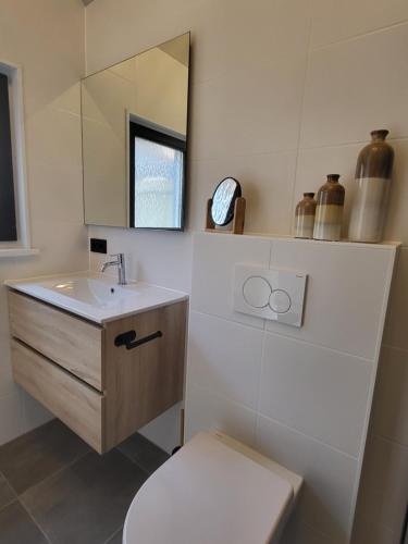 a bathroom with a sink and a toilet and a mirror at Huisje Mina in Vrouwenpolder