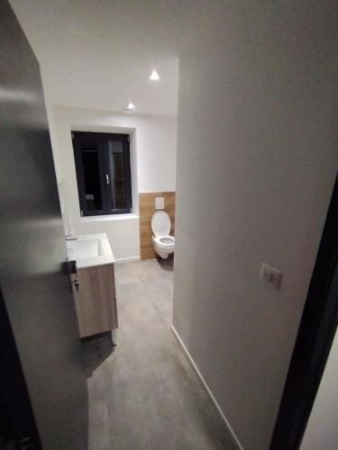 ein Badezimmer mit Toilette und Waschbecken in der Unterkunft La colloc rue des bulles in Pont-à-Mousson