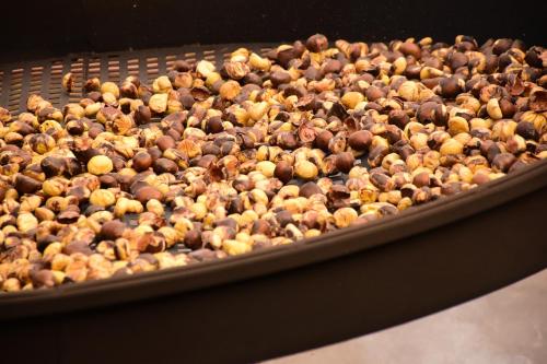 a large pile of different types of hazelnuts at Il Pianerottolo in Manziana