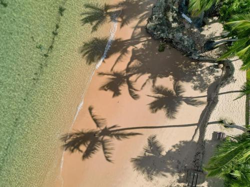 a shadow of a palm tree on the beach at Pousada Porto da Barra in Barra Grande