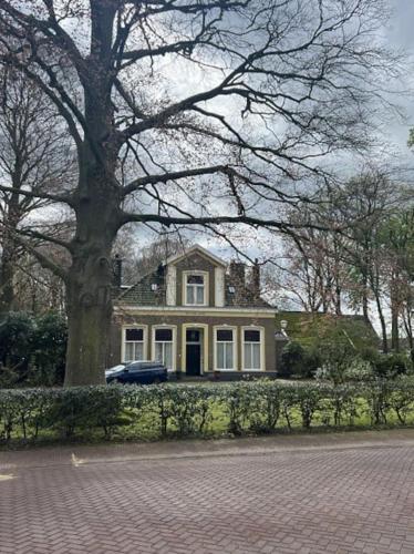 a large house with a tree in front of it at Mooi appartement in centrum dorp in Nieuwleusen