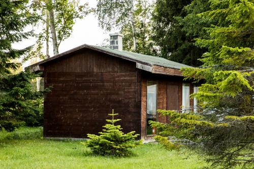 a small cabin with a tree in front of it at Brīvdienu māja "Raudiņi" in Kaltene