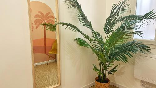 a palm tree in a pot next to a mirror at Grand Cosy Family Stay - Centre historique Avignon in Avignon