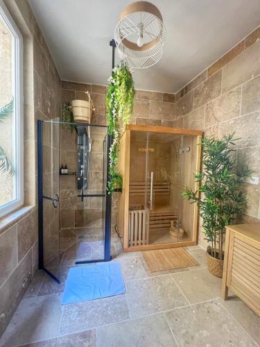 une douche avec une porte vitrée dans une salle de bain dans l'établissement Bien-être au naturel, Love Room, Jacuzzi Sauna, Centre-Historique, à Avignon