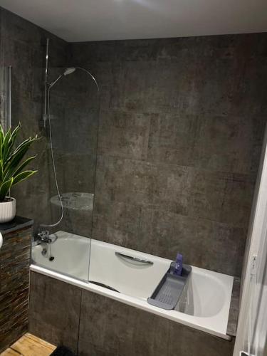 Bilik mandi di Apothecary Hall - Snowdonia