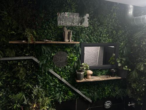 Taman di luar Apothecary Hall - Snowdonia