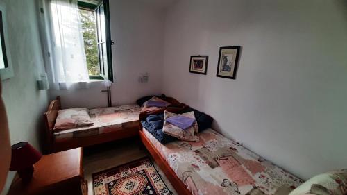 two twin beds in a room with a window at Apartments Durmitor in Žabljak