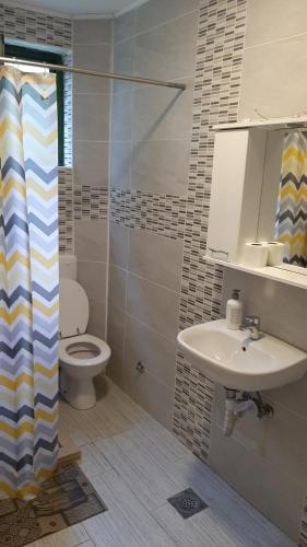 a bathroom with a toilet and a sink at Apartments Durmitor in Žabljak