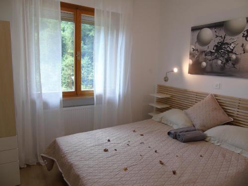 a bedroom with a large bed with a window at Appartamento Nicole in Ravascletto