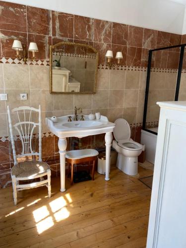 a bathroom with a sink and a toilet and a mirror at Domaine Les Bruyères in Autry-le-Châtel