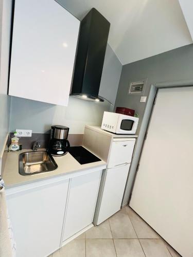 une petite cuisine avec un évier et un micro-ondes dans l'établissement Les Ouches, à Fleurey-sur-Ouche