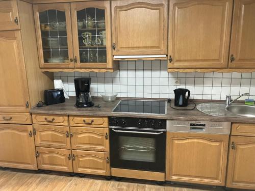 a kitchen with wooden cabinets and a stove top oven at Landhof Lindner in Lüptitz