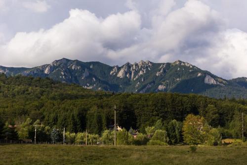 a view of a mountain range with a field and trees at Cuibul Zăganului - Relax, Sauna & SPA in Cheia
