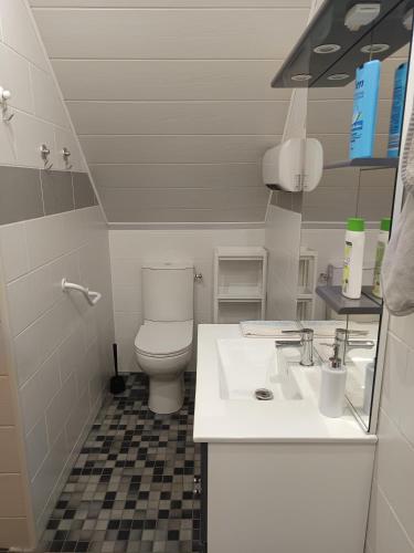 une petite salle de bain avec toilettes et lavabo dans l'établissement LA CLIMONTAINE BIS, à Urbeis
